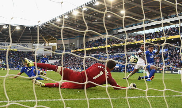 Photo by Stu Forster/Getty Images