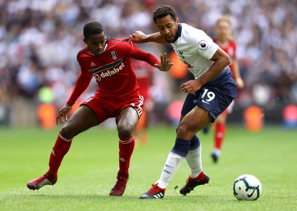 Tottenham should offload unwanted Mousa Dembele to former club Fulham