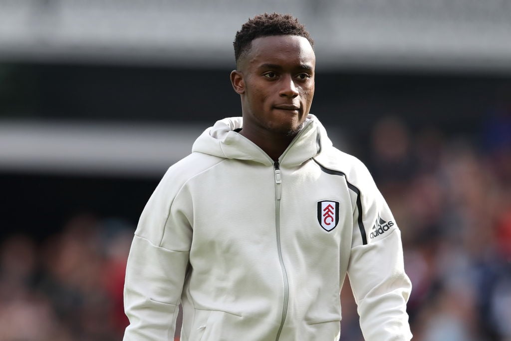 Could Steven Sessegnon offer an intriguing alternative for the Fulham defence?