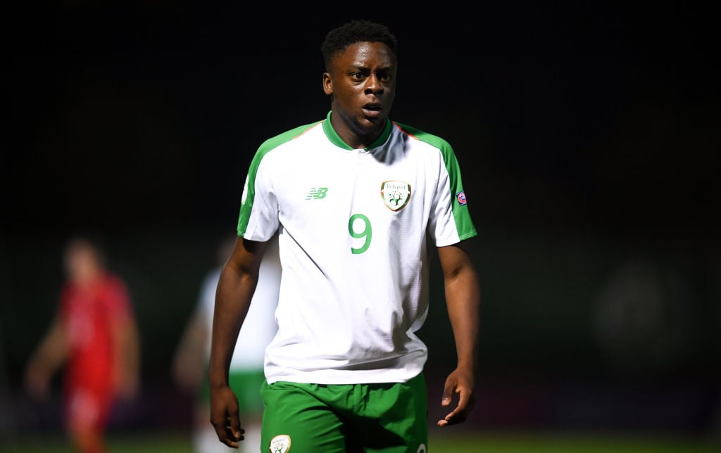 Photo By Stephen McCarthy/Sportsfile via Getty Images