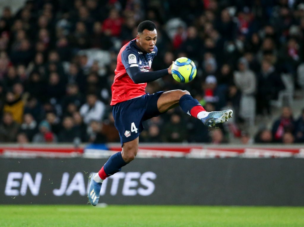 Lille OSC v Olympique Lyonnais - Ligue 1