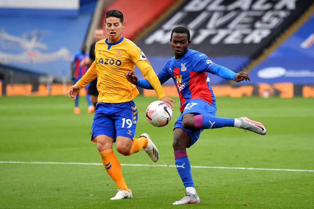 Crystal Palace v Everton - Premier League