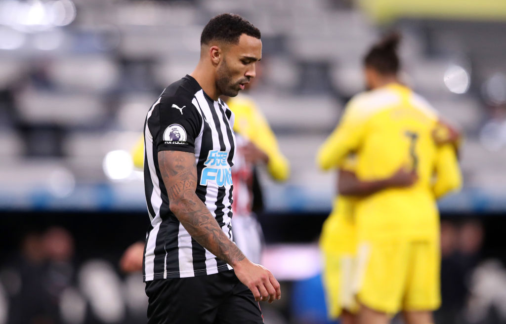Newcastle United v Fulham - Premier League
