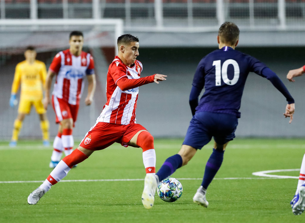 Crvena Zvezda v Tottenham Hotspur: UEFA Youth League