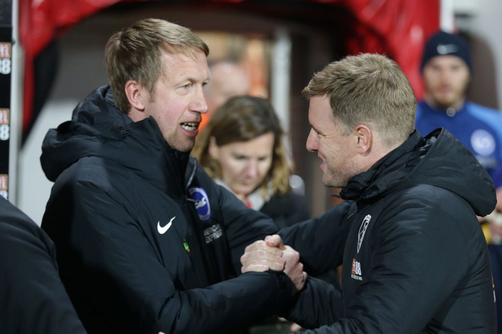 AFC Bournemouth v Brighton & Hove Albion - Premier League