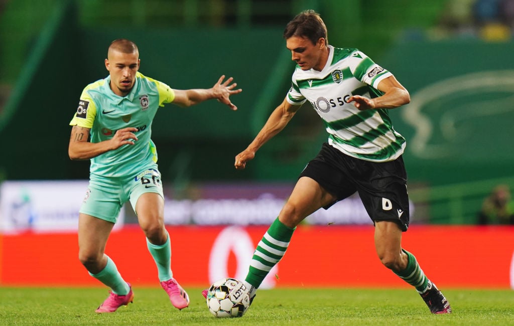 everton-transfer-target-joao-palhinha-sporting-cp-lisbon-maritimo-pedro-pelagio-liga-nos