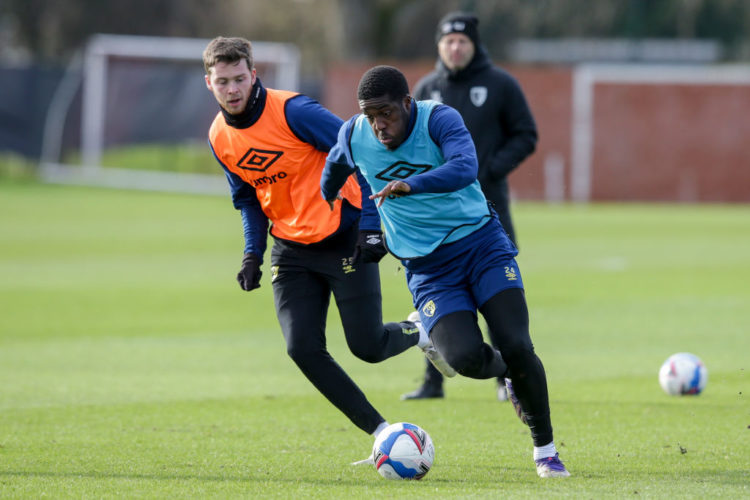 Photo by Robin Jones - AFC Bournemouth/AFC Bournemouth via Getty Images