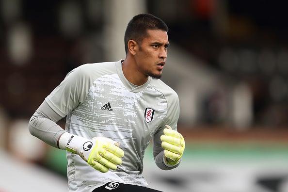 Fulham v Aston Villa - Premier League