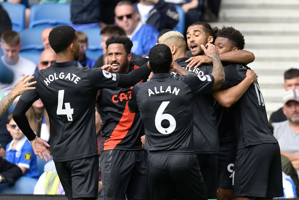 Brighton & Hove Albion v Everton - Premier League