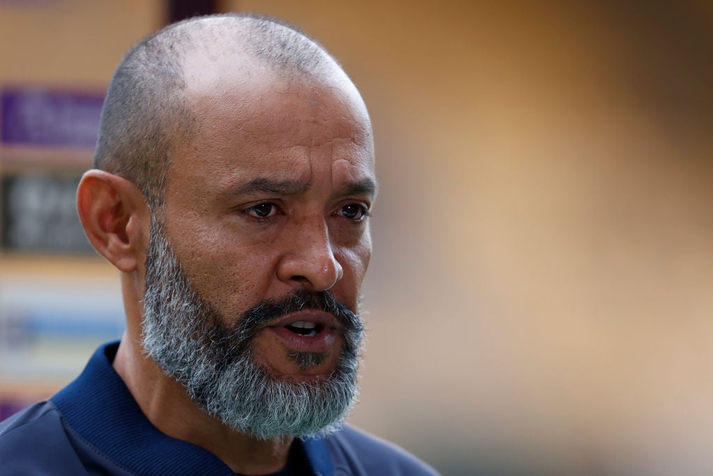 Wolverhampton Wanderers v Tottenham Hotspur - Premier League