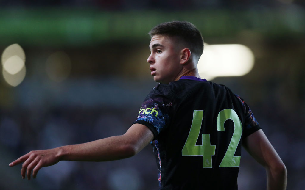 Milton Keynes Dons v Tottenham Hotspur: Pre-Season Friendly