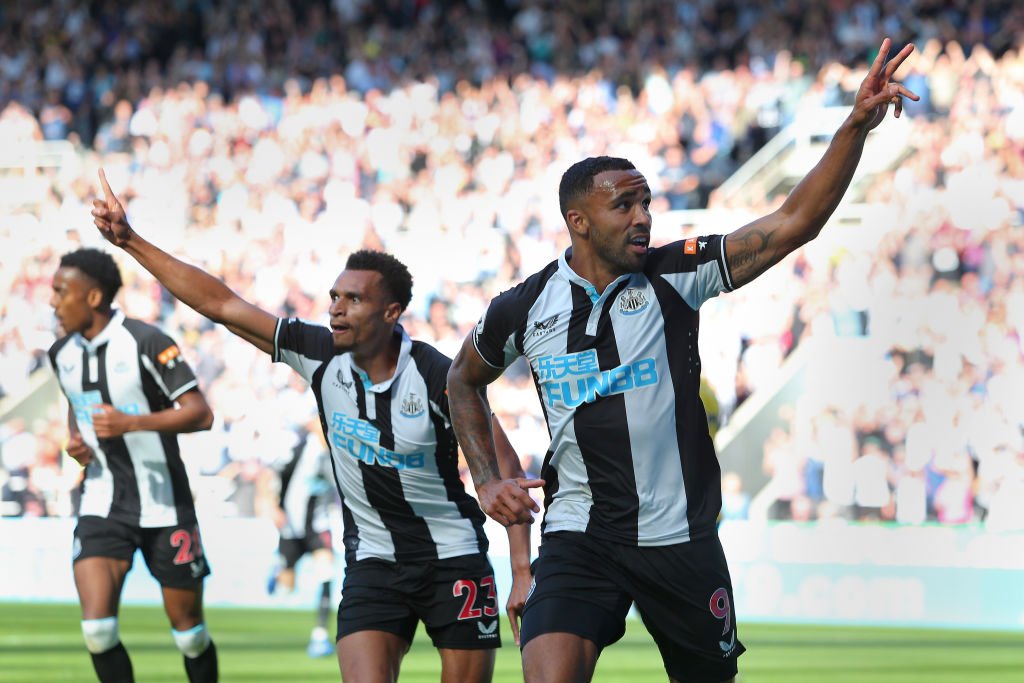 Newcastle United v Southampton - Premier League
