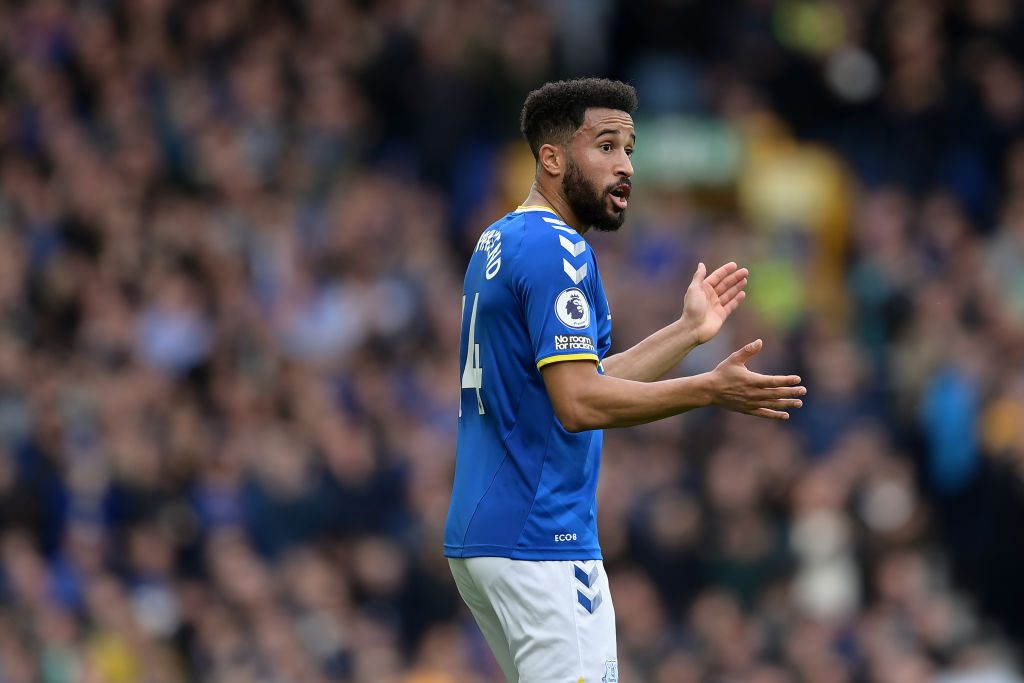 Everton v West Ham United - Premier League