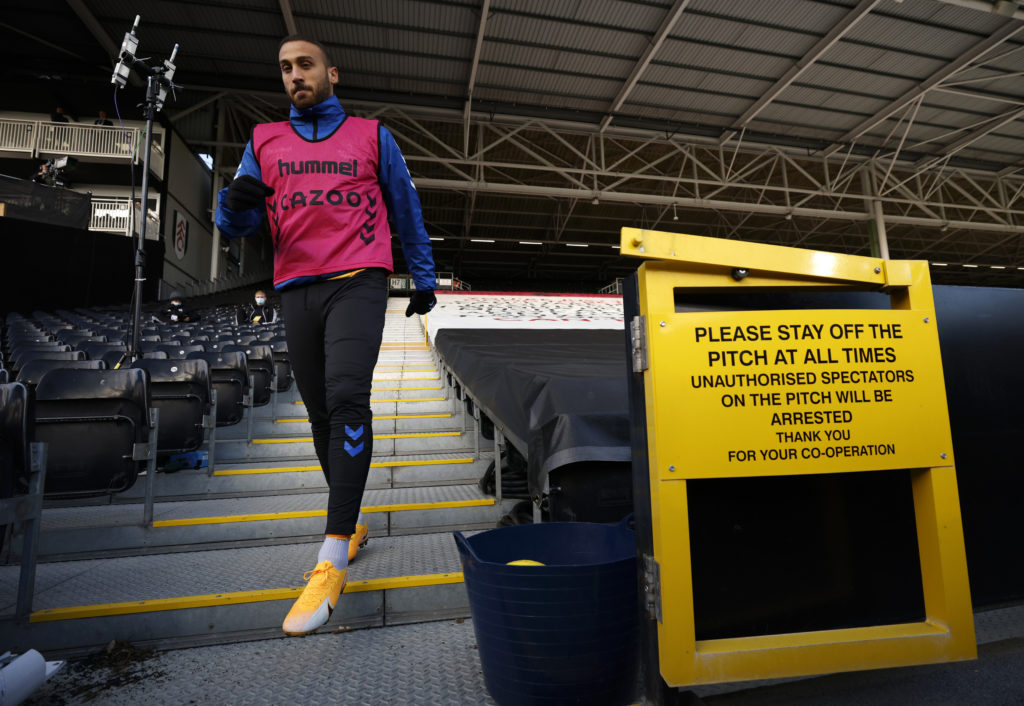 Fulham v Everton - Premier League