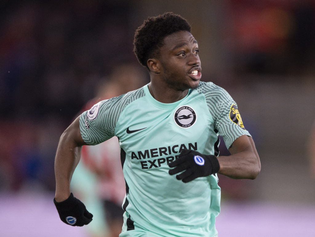 Southampton v Brighton & Hove Albion - Premier League