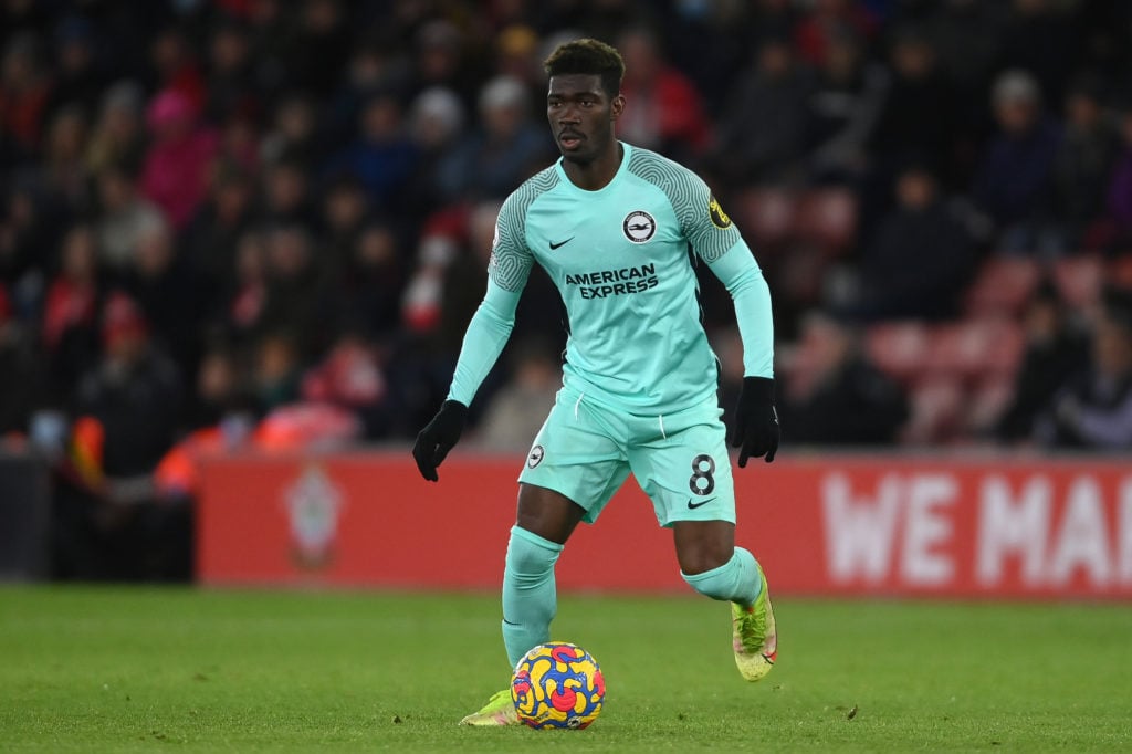 Southampton v Brighton & Hove Albion - Premier League