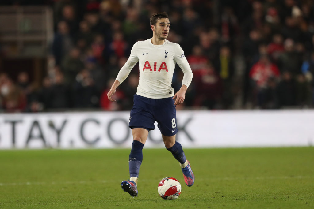 Harry Winks Tottenham scapegoat