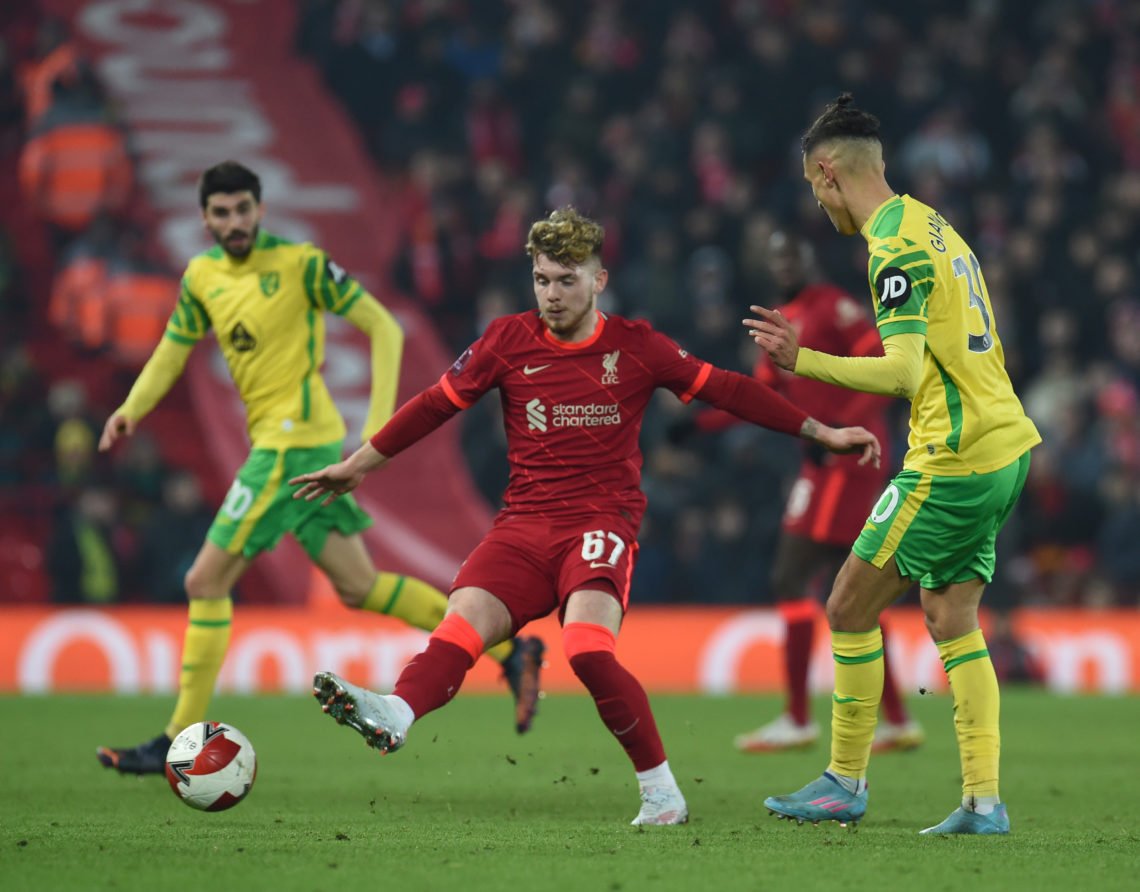 'Sensational: BBC pundit thinks £4m Liverpool man will become a star under Klopp