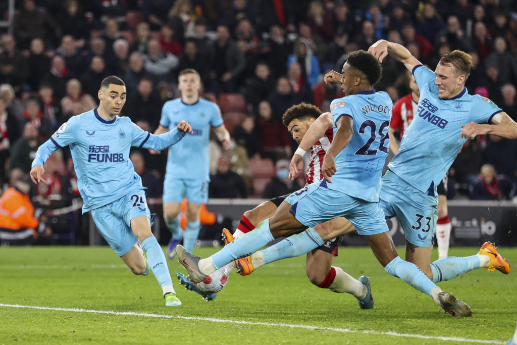 Southampton v Newcastle United - Premier League