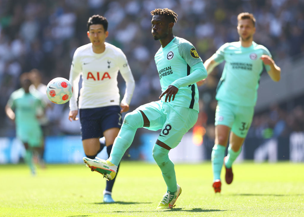 Tottenham Hotspur v Brighton & Hove Albion - Premier League