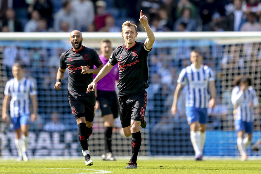 Brighton & Hove Albion v Southampton - Premier League