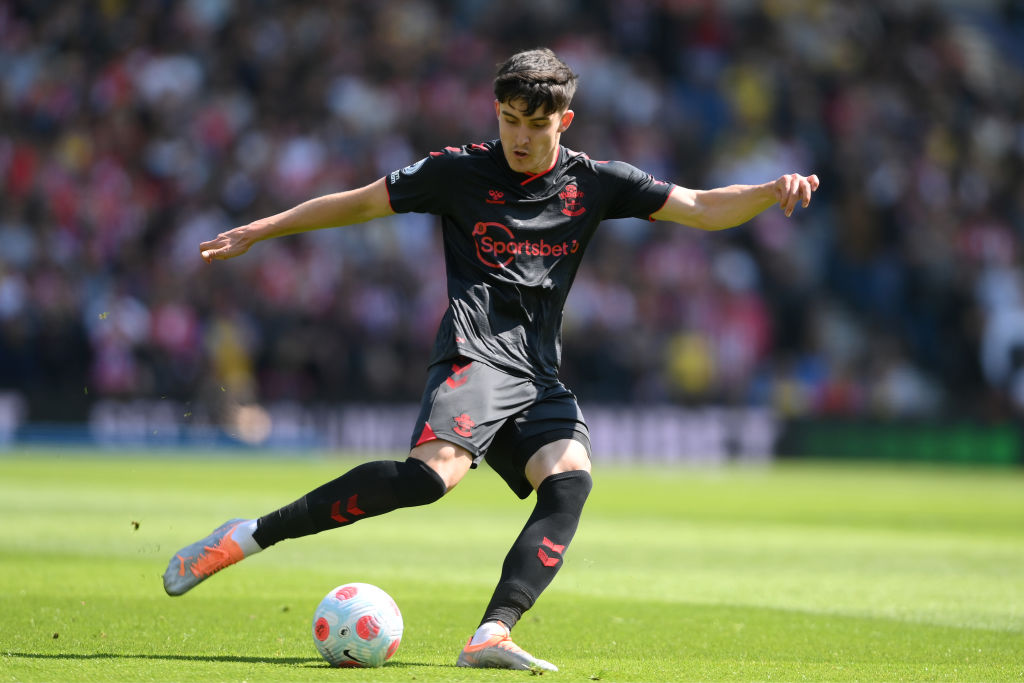 Brighton & Hove Albion v Southampton - Premier League