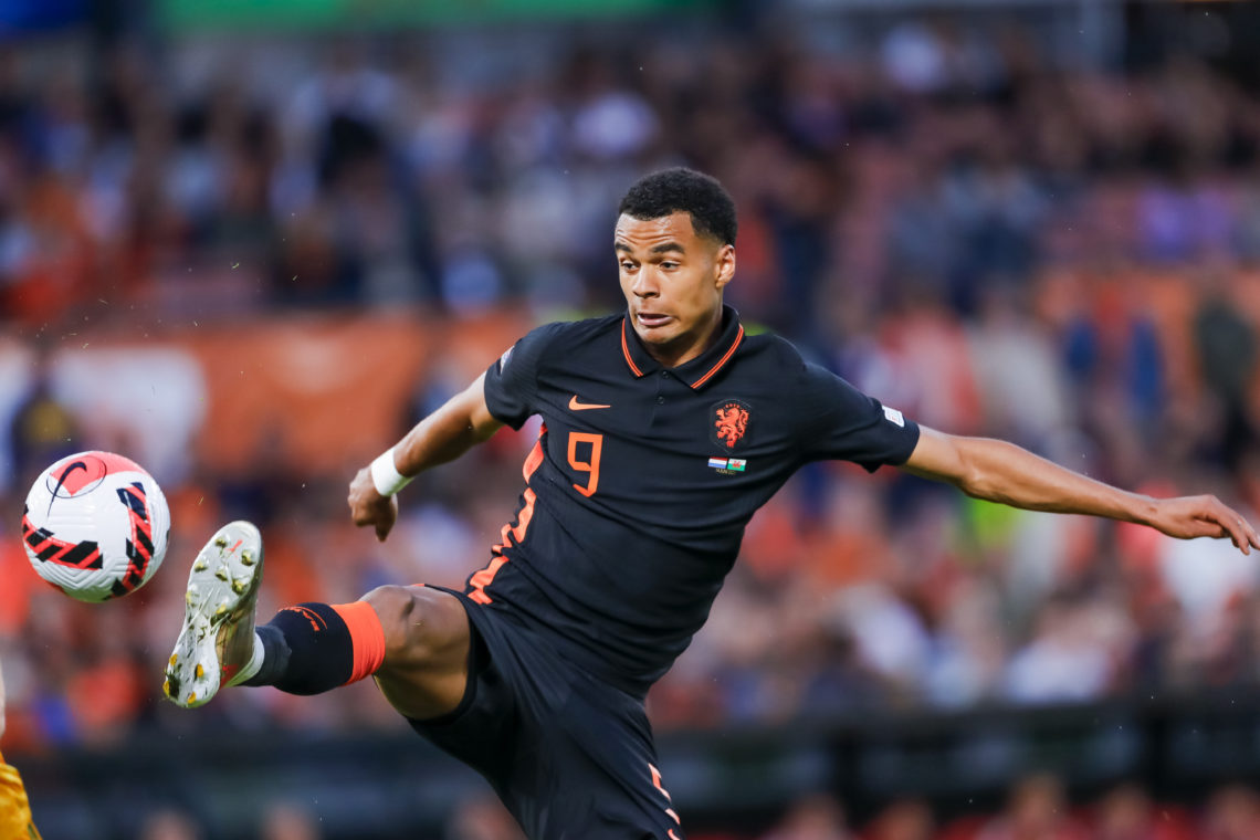 Photo by Perry vd Leuvert/NESImages/DeFodi Images via Getty Images