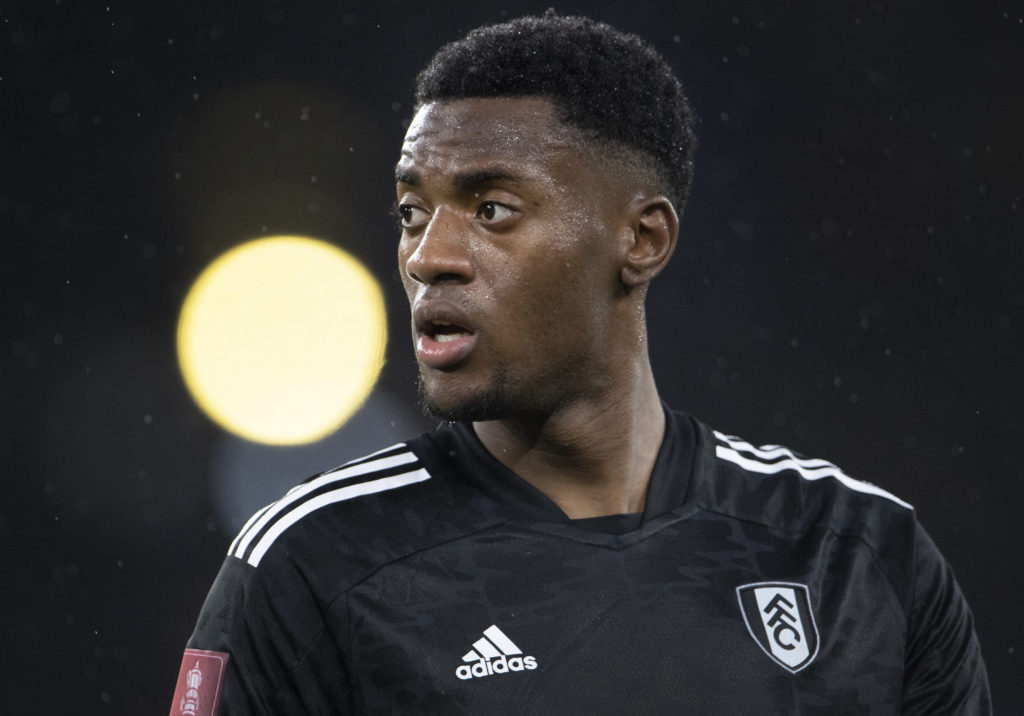 Manchester City v Fulham: The Emirates FA Cup Fourth Round