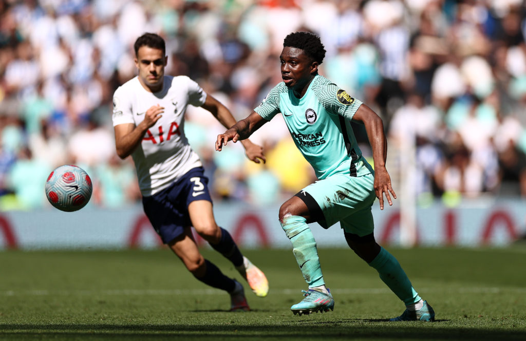 Tottenham Hotspur v Brighton & Hove Albion - Premier League
