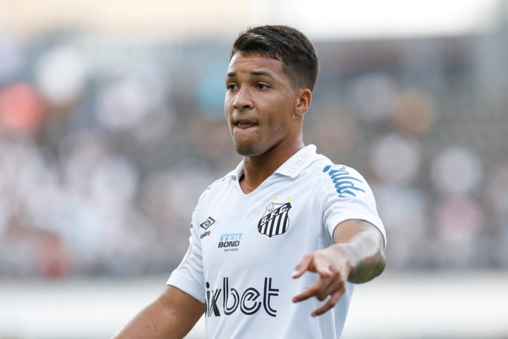 Santos v America MG - Brasileirao 2022