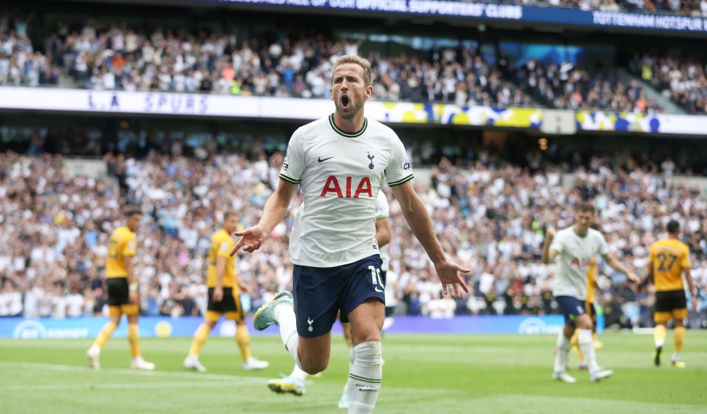 Tottenham Hotspur v Wolverhampton Wanderers - Premier League