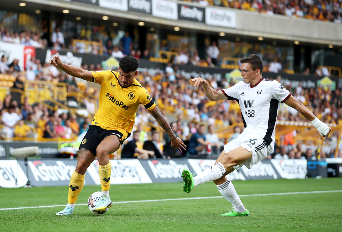 Photo by Jack Thomas - WWFC/Wolves via Getty Images