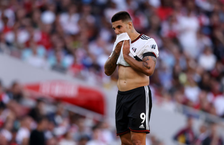Mitrovic says he made a mistake complaining about second Arsenal goal