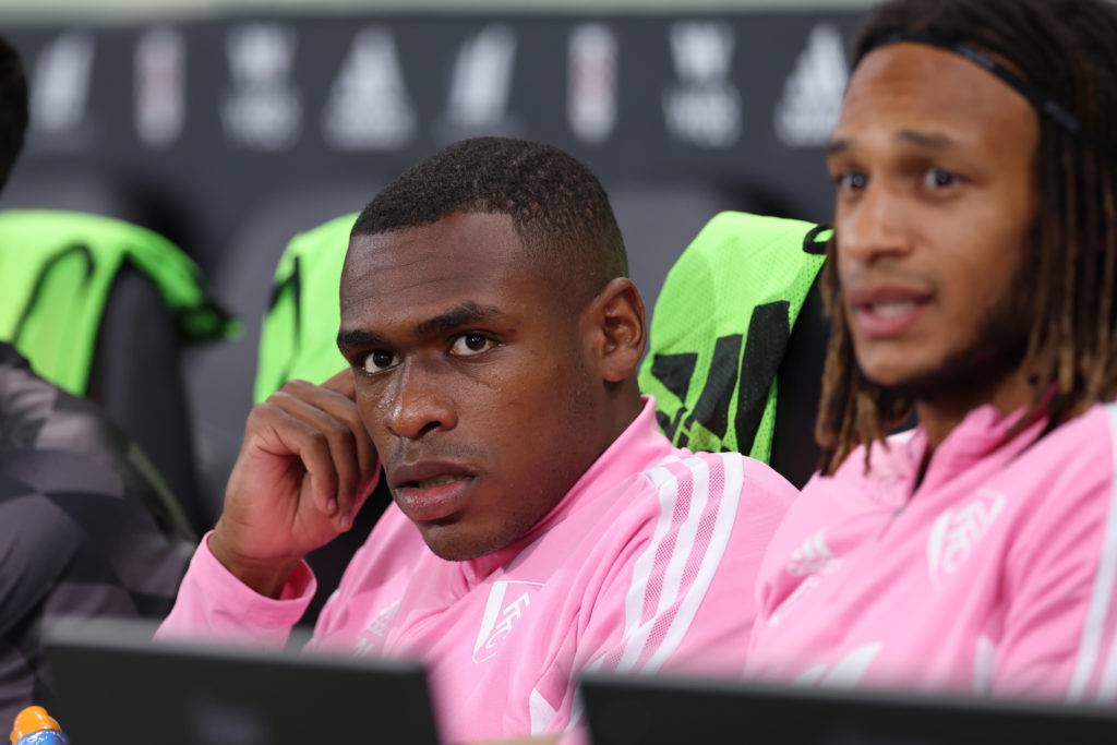 Fulham FC v Brighton & Hove Albion - Premier League