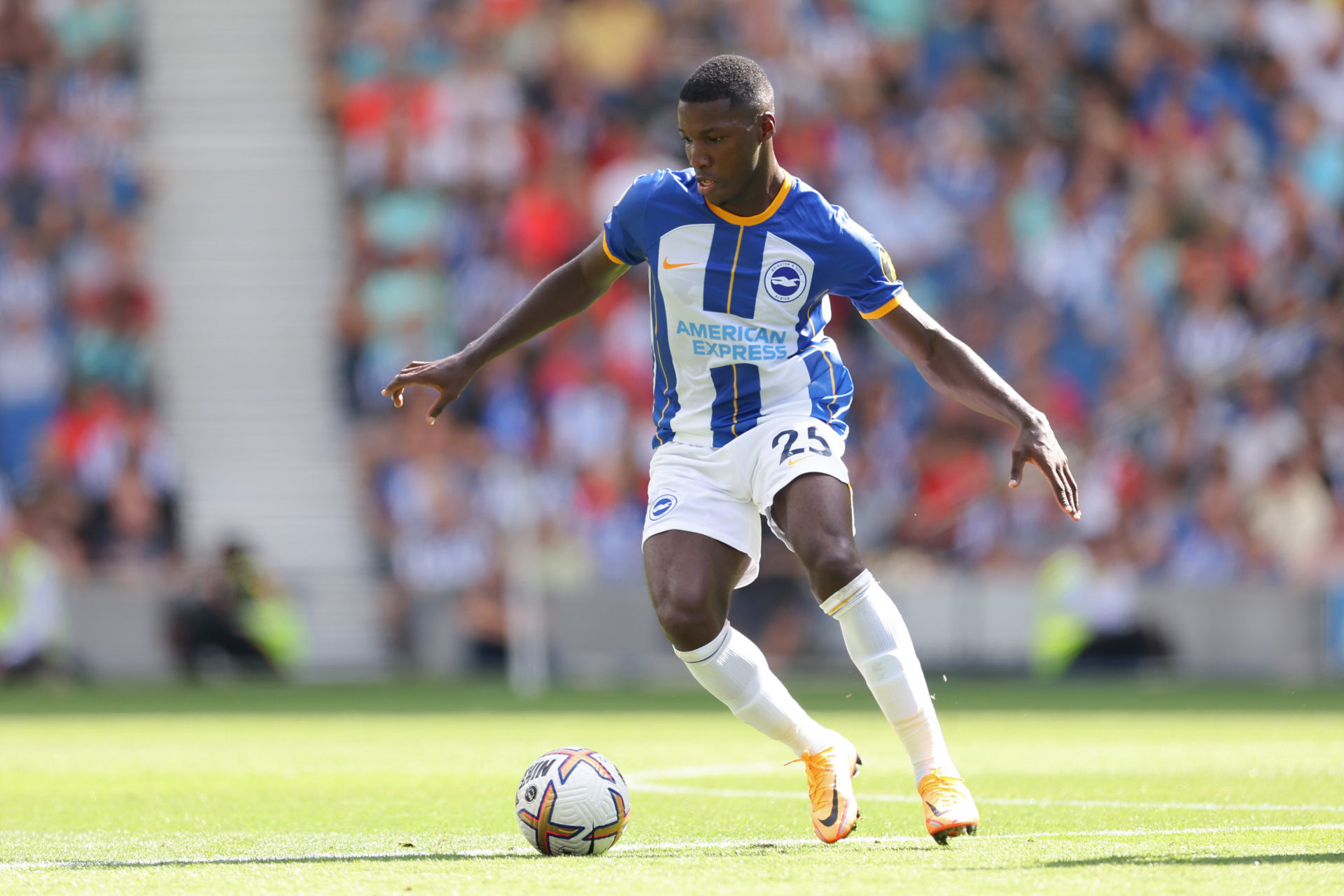 Brighton want to hand Caicedo new contract