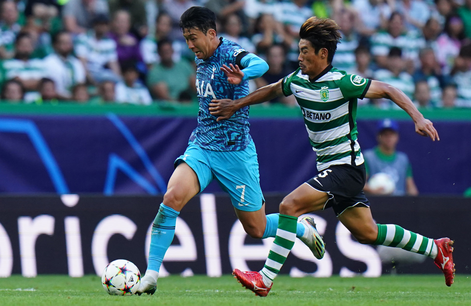 Sporting CP v Tottenham Hotspur - Group D - UEFA Champions League