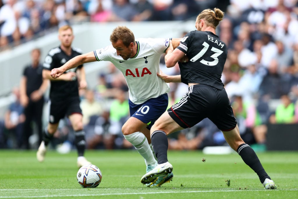 Tottenham Hotspur v Fulham FC - Premier League