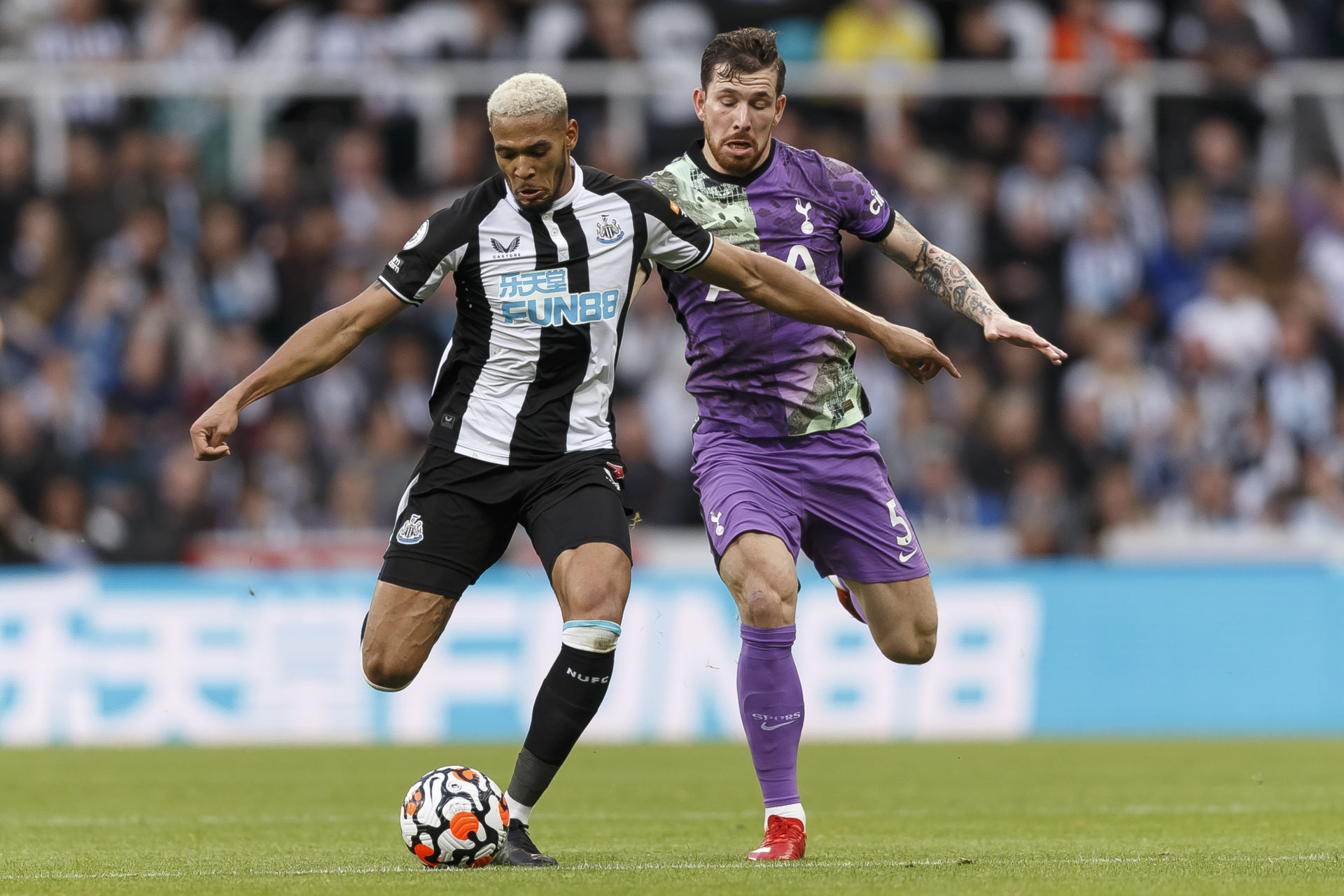 Newcastle United v Tottenham Hotspur - Premier League