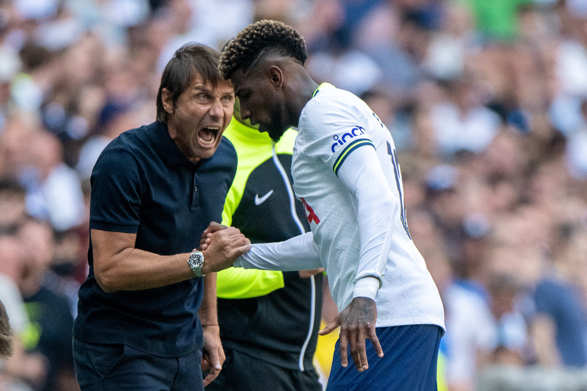 Tottenham Hotspur v Southampton FC - Premier League