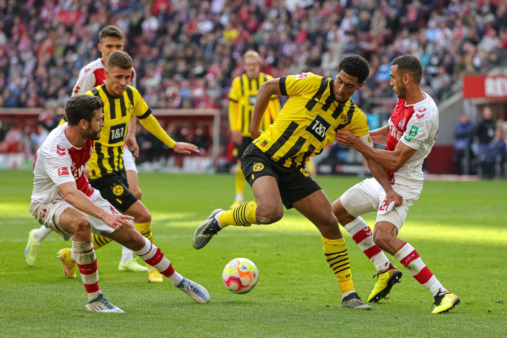 1. FC Köln v Borussia Dortmund - Bundesliga