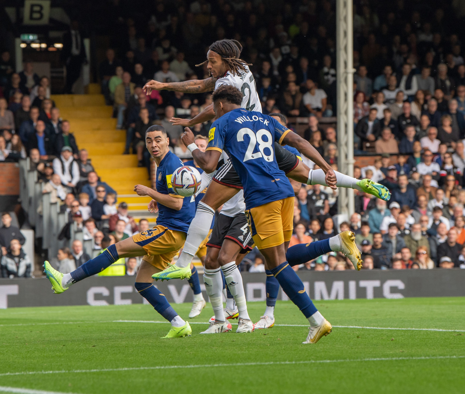Fulham FC v Newcastle United - Premier League