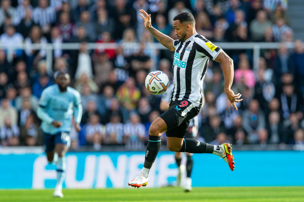 Newcastle United v Brentford FC - Premier League