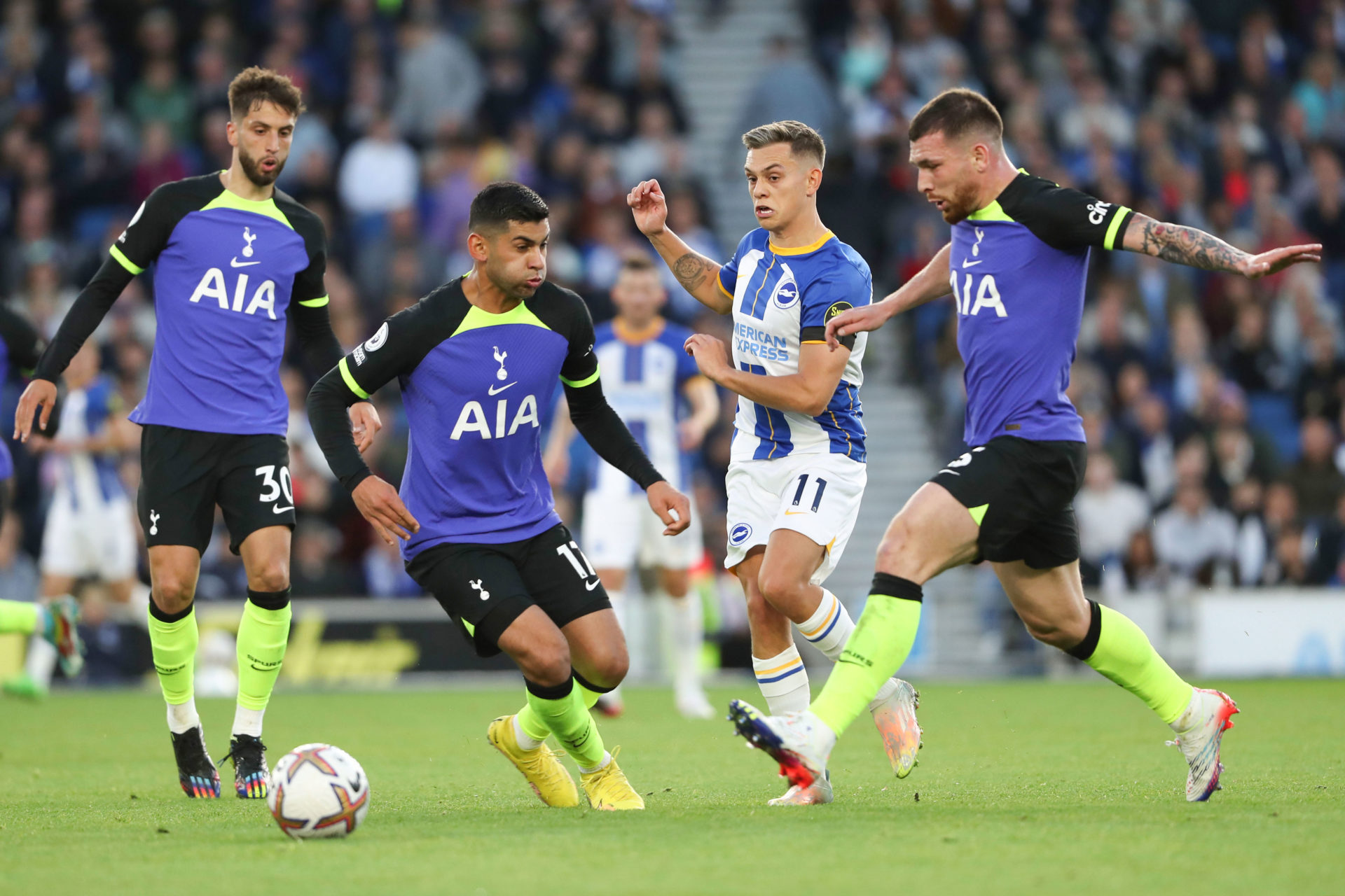 Brighton & Hove Albion v Tottenham Hotspur - Premier League