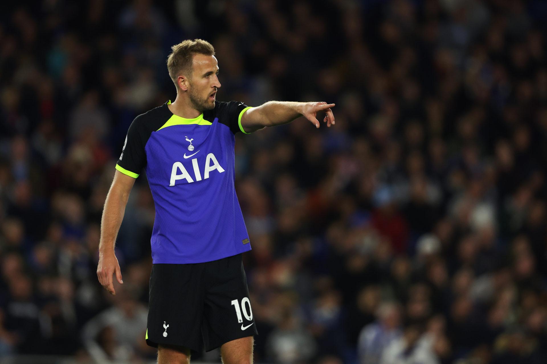 Brighton & Hove Albion v Tottenham Hotspur - Premier League
