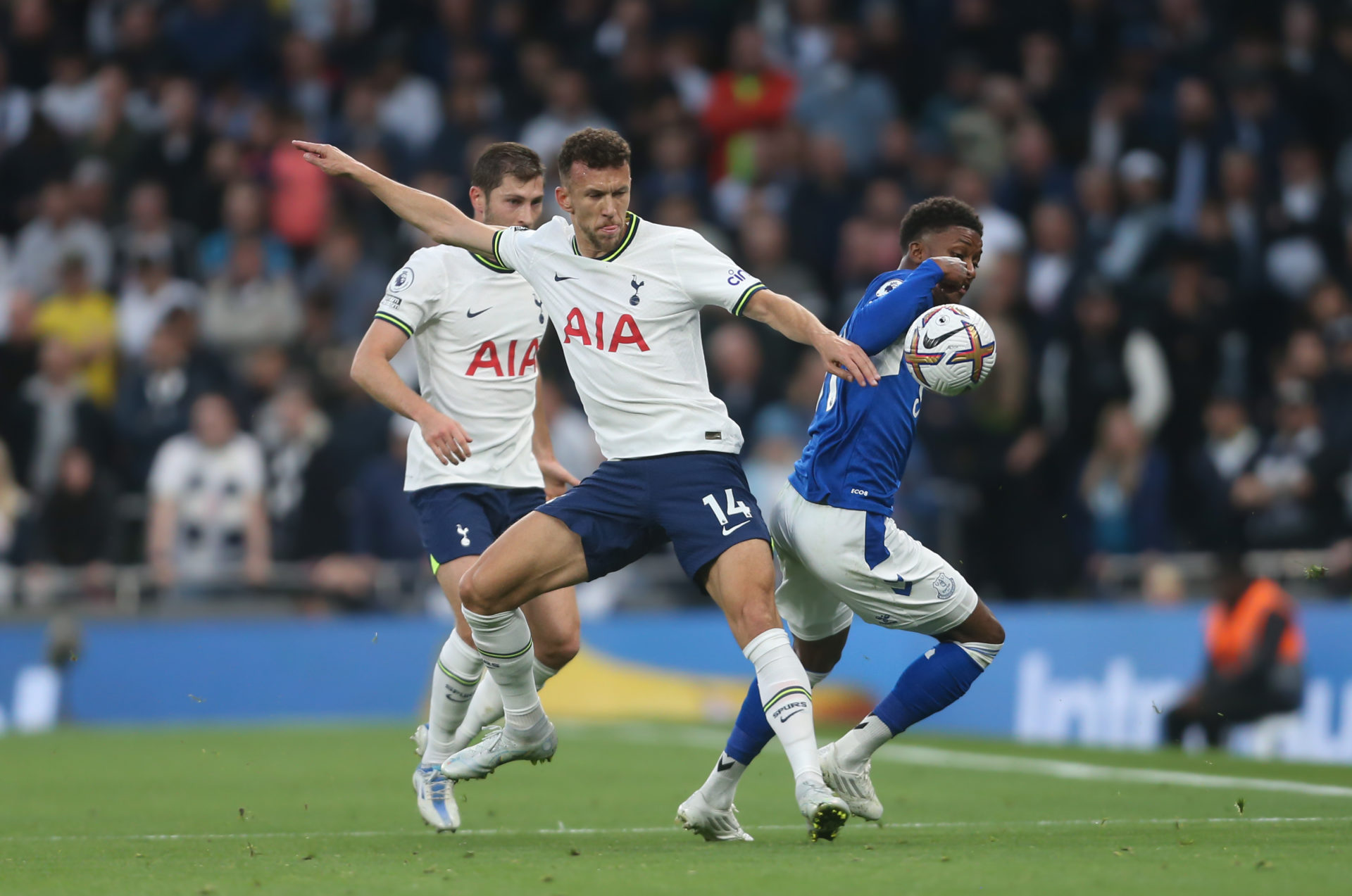 Tottenham Hotspur v Everton FC - Premier League