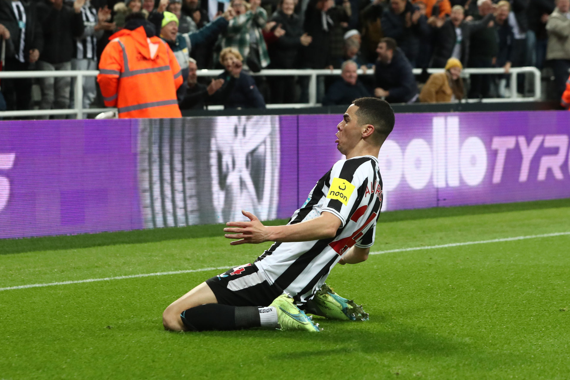 Newcastle United v Everton FC - Premier League