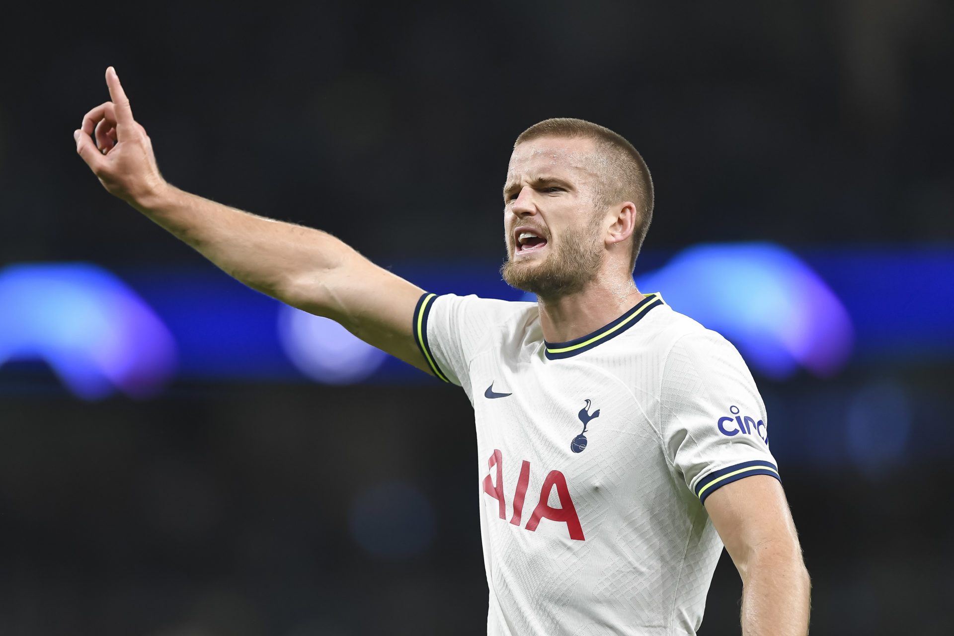 Tottenham Hotspur v Sporting CP: Group D - UEFA Champions League
