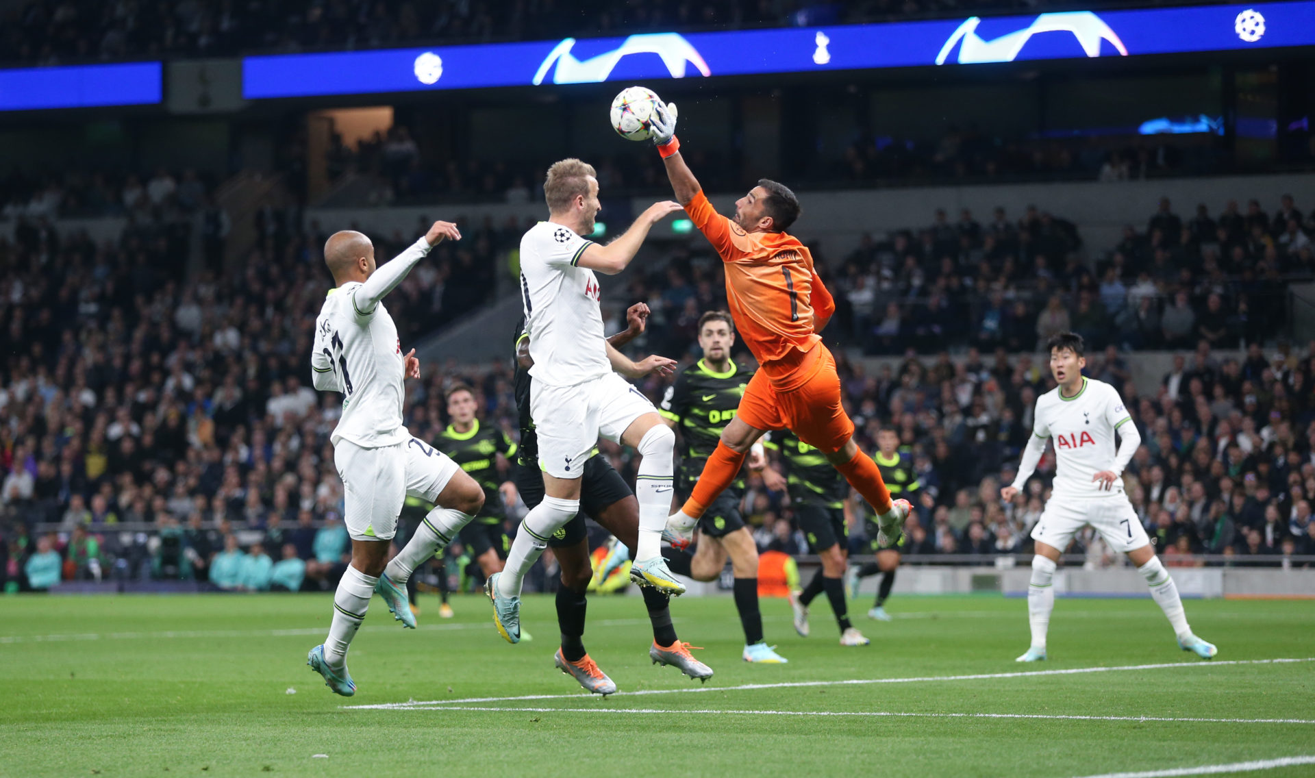 Tottenham Hotspur v Sporting CP: Group D - UEFA Champions League