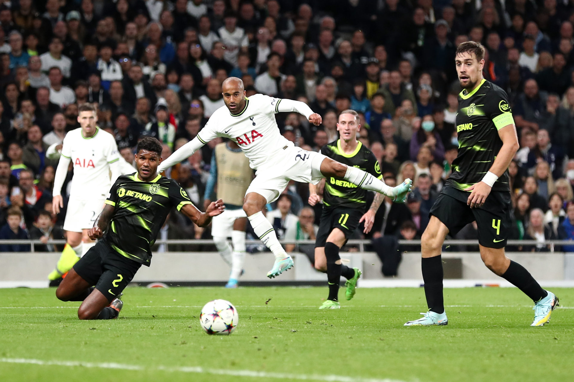 Tottenham Hotspur v Sporting CP: Group D - UEFA Champions League