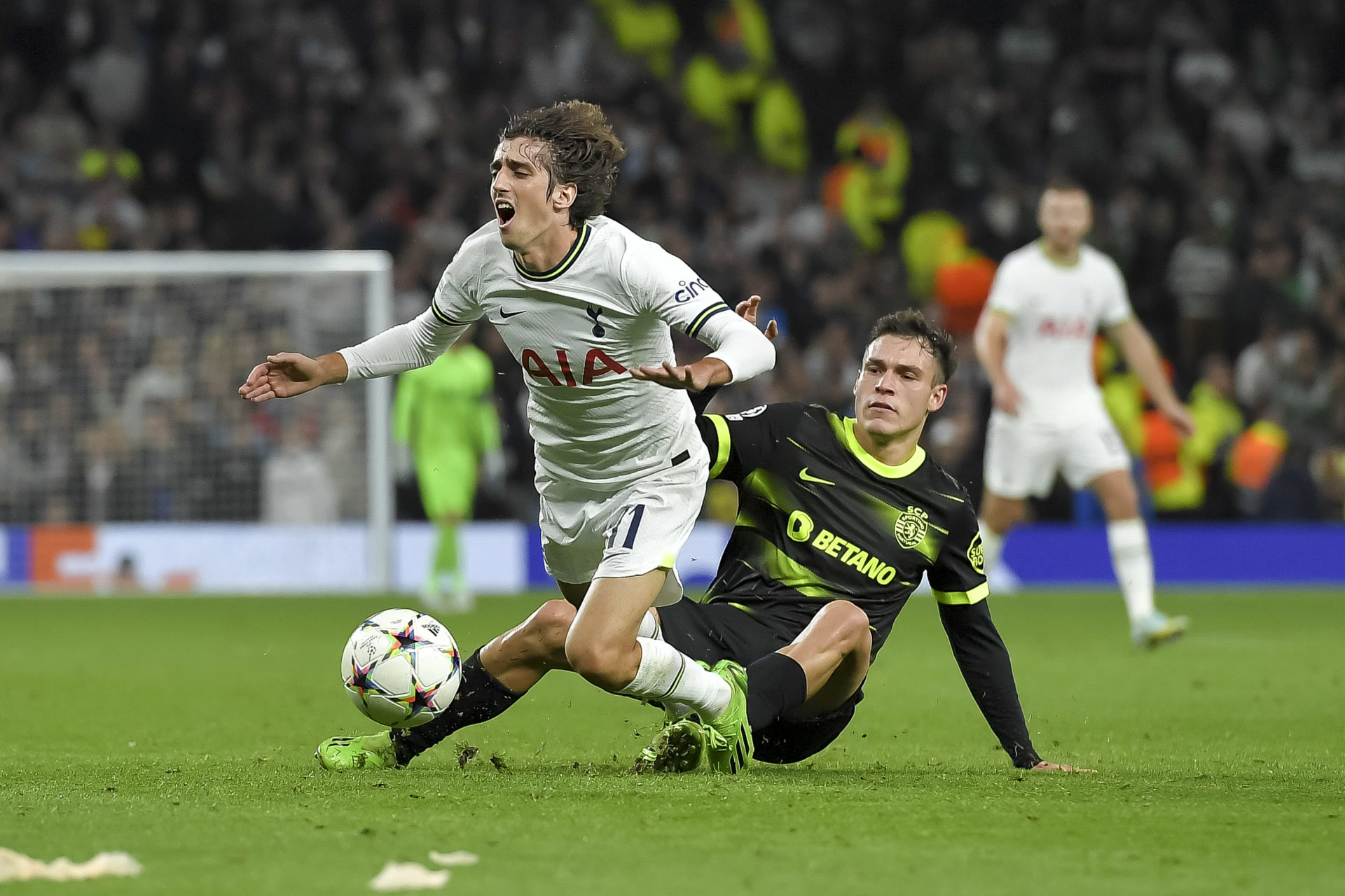 Tottenham Hotspur v Sporting CP: Group D - UEFA Champions League